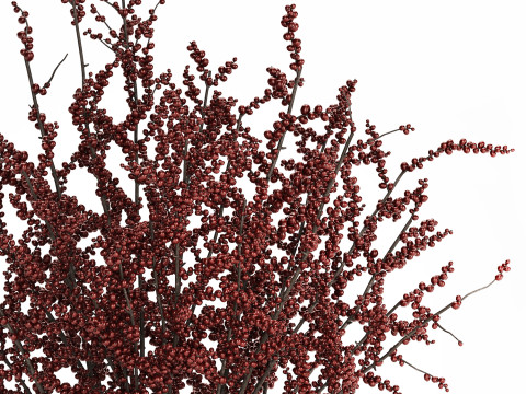 Beautiful bouquet of branches with red berries 481 3D-Modell