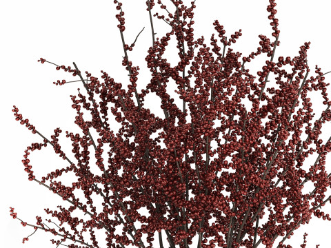 Beautiful bouquet of branches with red berries 481 3D-Modell