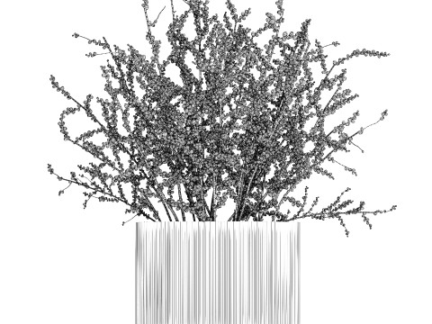 Beautiful bouquet of branches with red berries 481 3D-Modell