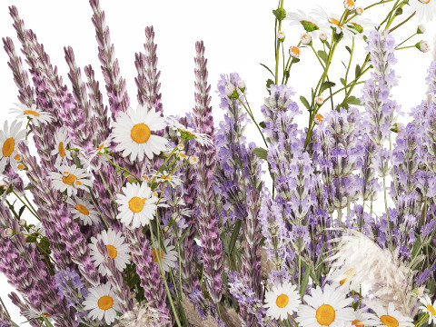 Bouquet Of Wild Flowers In Vase Lavender poppy 483 Modèle 3D