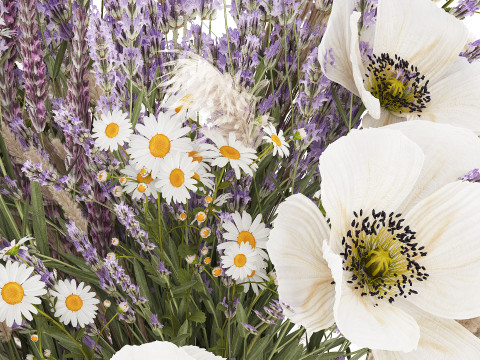 Bouquet Of Wild Flowers In Vase Lavender poppy 483 Modèle 3D