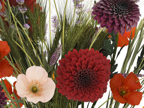 Bouquet Of Wild Flowers In A Vase Lavender Poppy 486 3D Model