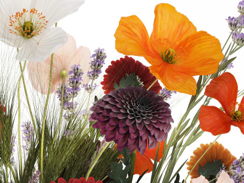Bouquet Of Wild Flowers In A Vase Lavender Poppy 486 3D Model