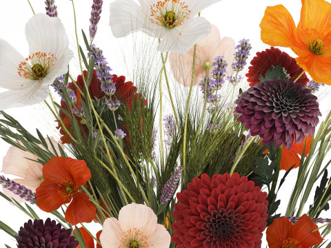 Bouquet Of Wild Flowers In A Vase Lavender Poppy 486 3D Model