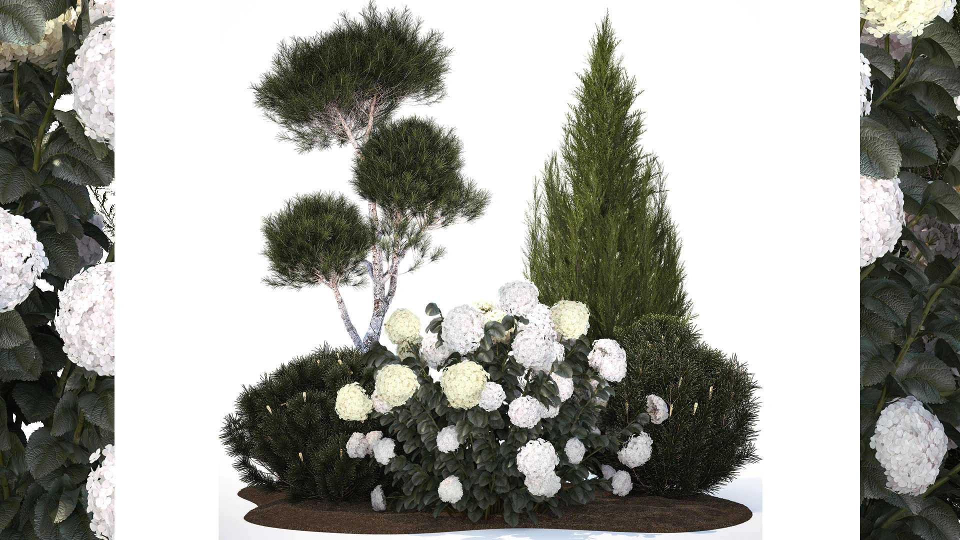 Garden Of Pine Topiary With White Hydrangea Bush 1472 3D Model .c4d .max .obj .3ds .fbx .stl .blend 