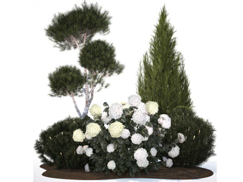 Garden Of Pine Topiary With White Hydrangea Bush 1472 3D Model