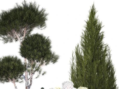 Garden Of Pine Topiary With White Hydrangea Bush 1472 3D Model
