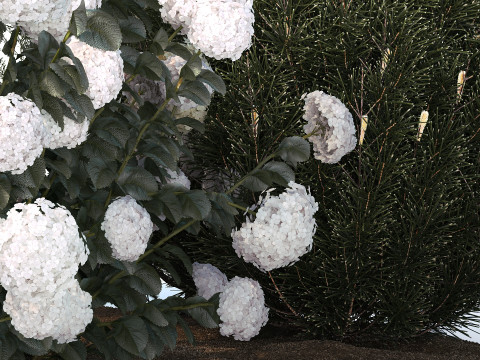 Garden Of Pine Topiary With White Hydrangea Bush 1472 3D Model