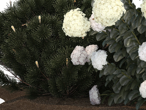 Garden Of Pine Topiary With White Hydrangea Bush 1472 3D Model
