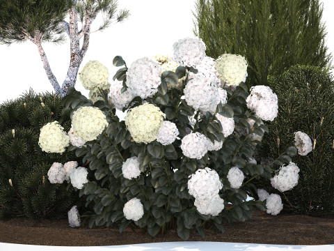 Garden Of Pine Topiary With White Hydrangea Bush 1472 3D Model