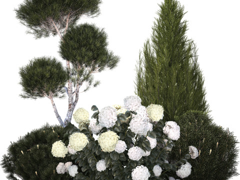 Garden Of Pine Topiary With White Hydrangea Bush 1472 3D Model
