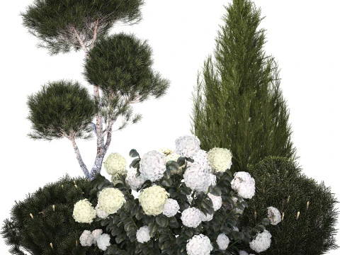 Garden Of Pine Topiary With White Hydrangea Bush 1472 3D Model