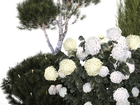 Garden Of Pine Topiary With White Hydrangea Bush 1472 3D Model