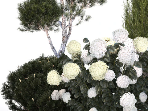 Garden Of Pine Topiary With White Hydrangea Bush 1472 3D Model