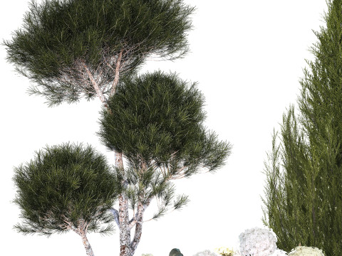 Garden Of Pine Topiary With White Hydrangea Bush 1472 3D Model
