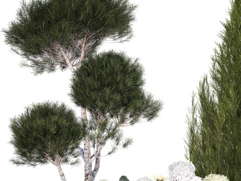 Garden Of Pine Topiary With White Hydrangea Bush 1472 3D Model