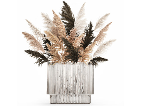 Beautiful Bouquet Dried Flowers Cortaderia Pampas 487 Model 3D