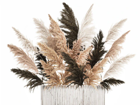 Beautiful Bouquet Dried Flowers Cortaderia Pampas 487 3D Model