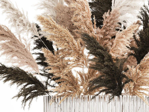 Beautiful Bouquet Dried Flowers Cortaderia Pampas 487 3D Model