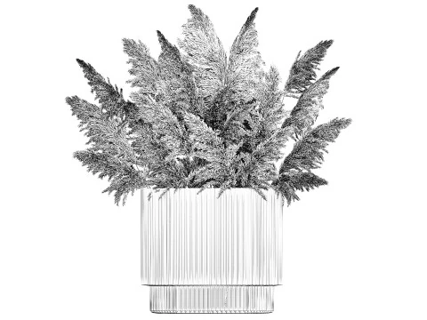 Beautiful Bouquet Dried Flowers Cortaderia Pampas 487 3D Model