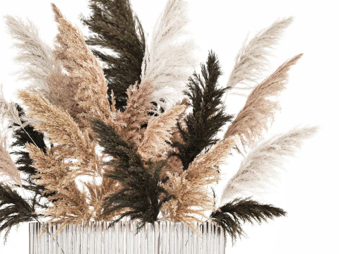 Beautiful Bouquet Dried Flowers Cortaderia Pampas 487 3D Model