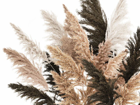 Beautiful Bouquet Dried Flowers Cortaderia Pampas 487 3D Model