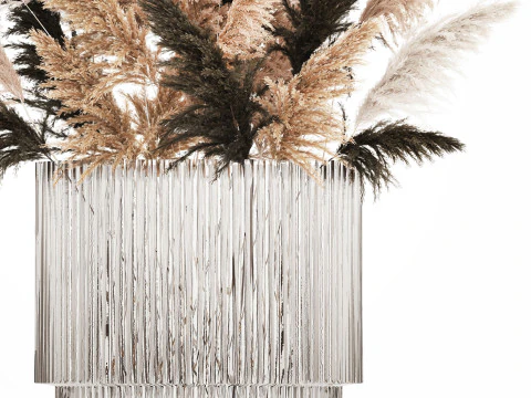 Beautiful Bouquet Dried Flowers Cortaderia Pampas 487 3D Model