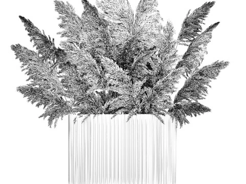 Beautiful Bouquet Dried Flowers Cortaderia Pampas 487 3D Model