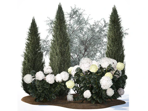 Topi&aacute;ria de cipreste verde-oliva com hort&ecirc;nsia de arbusto branco 1473 Modelo 3D