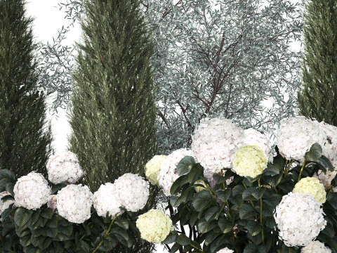 Topi&aacute;ria de cipreste verde-oliva com hort&ecirc;nsia de arbusto branco 1473 Modelo 3D