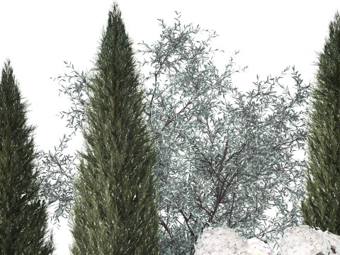 Topi&aacute;ria de cipreste verde-oliva com hort&ecirc;nsia de arbusto branco 1473 Modelo 3D