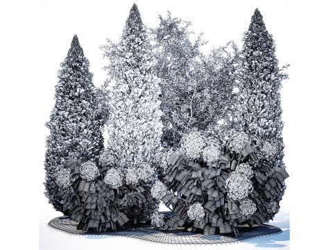 Olive cypress topiary with white bush hydrangea 1473 3D Model