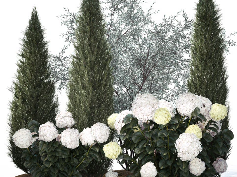 Topi&aacute;ria de cipreste verde-oliva com hort&ecirc;nsia de arbusto branco 1473 Modelo 3D