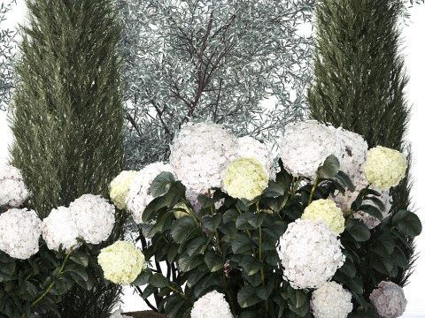 Topi&aacute;ria de cipreste verde-oliva com hort&ecirc;nsia de arbusto branco 1473 Modelo 3D