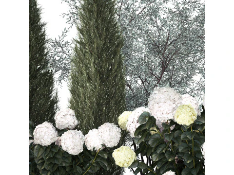 Topi&aacute;ria de cipreste verde-oliva com hort&ecirc;nsia de arbusto branco 1473 Modelo 3D