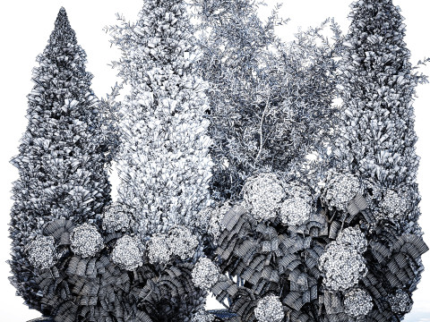Olive cypress topiary with white bush hydrangea 1473 3D Model