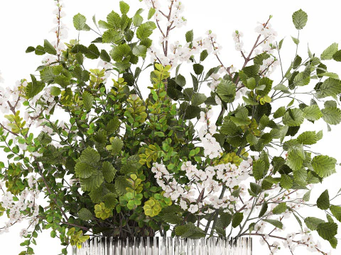 Beautiful Bouquet Of Branches Flowering Cherries 489 3D Model