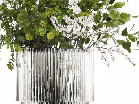 Beautiful Bouquet Of Branches Flowering Cherries 489 3D Model