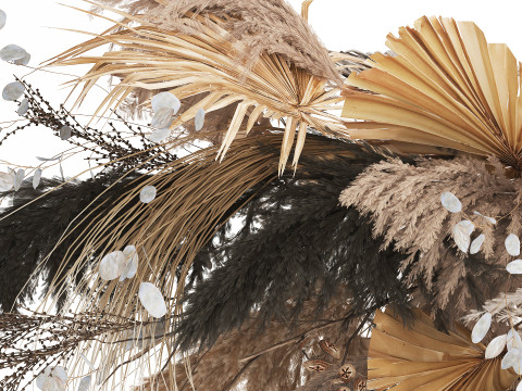 Bouquet Of Dried Flowers Cortaderia Pampas glass vase 490 Modèle 3D