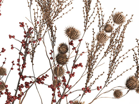 Bouquet Of Dried Flowers Vase Ilex Dry Branches 493 3D Model