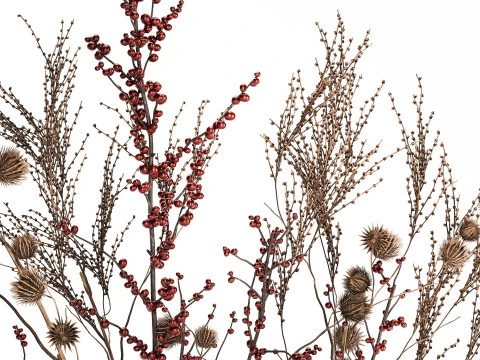 Bouquet Of Dried Flowers Vase Ilex Dry Branches 493 3D Model