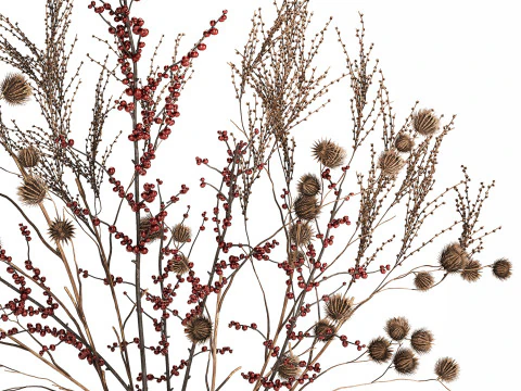 Bouquet Of Dried Flowers Vase Ilex Dry Branches 493 3D Model
