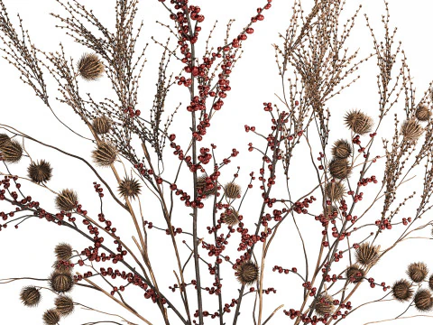 Bouquet Of Dried Flowers Vase Ilex Dry Branches 493 3D Model