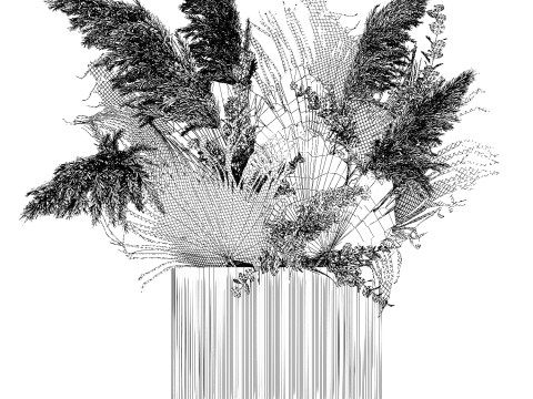 Bouquet Of Dried Flowers Pampas Dry Palm Leaf 495 3D 모델