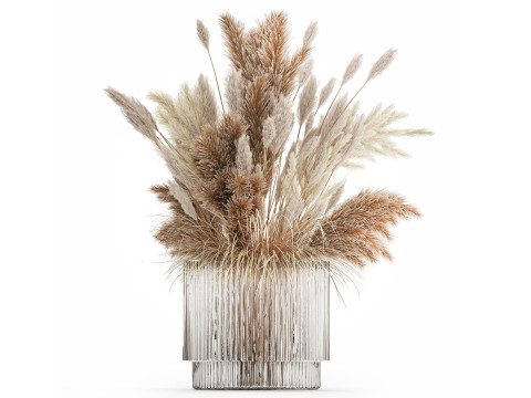Bouquet Of Dried Flowers Cortaderia Pampas Reed 496 Modello 3D