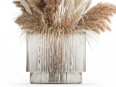 Kurutulmuş &Ccedil;i&ccedil;ek Buketi Cortaderia Pampas Reed 496 3D Model