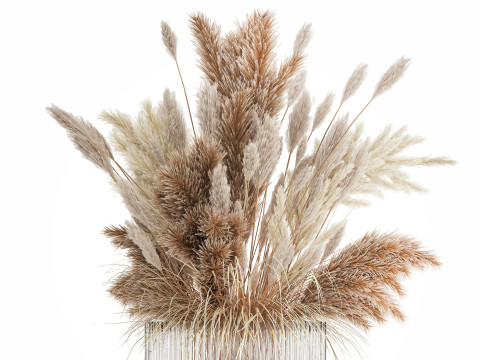 Bouquet Of Dried Flowers Cortaderia Pampas Reed 496 3D Model