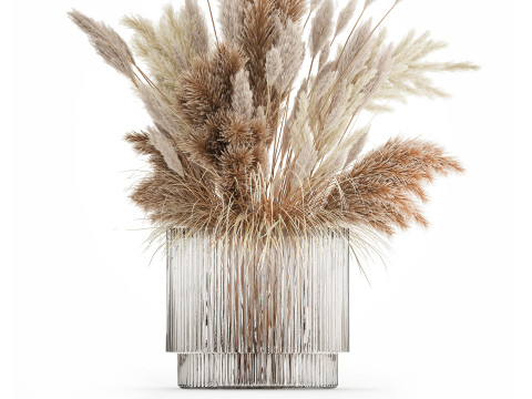 Bouquet Of Dried Flowers Cortaderia Pampas Reed 496 3D Model