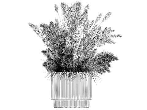 Bouquet Of Dried Flowers Cortaderia Pampas Reed 496 3D Model