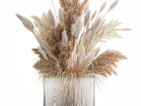 Bouquet Of Dried Flowers Cortaderia Pampas Reed 496 3D Model